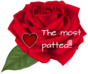 a red most patted rose